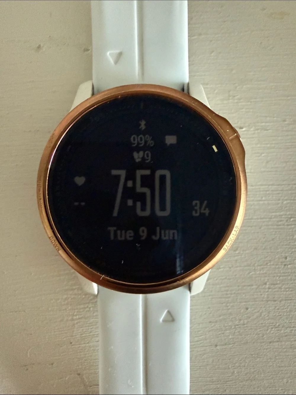 Garmin Fenix 6S Pro